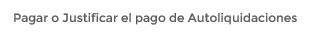 3. Pagar o Justificar el pago de Autoliquidaciones