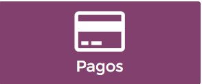 7. Pagos