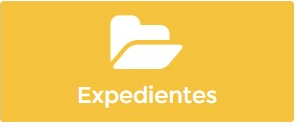 8. Expedientes